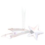 Holiday Magic Classics Decorazione Stella Cometa Swarovski 5684557